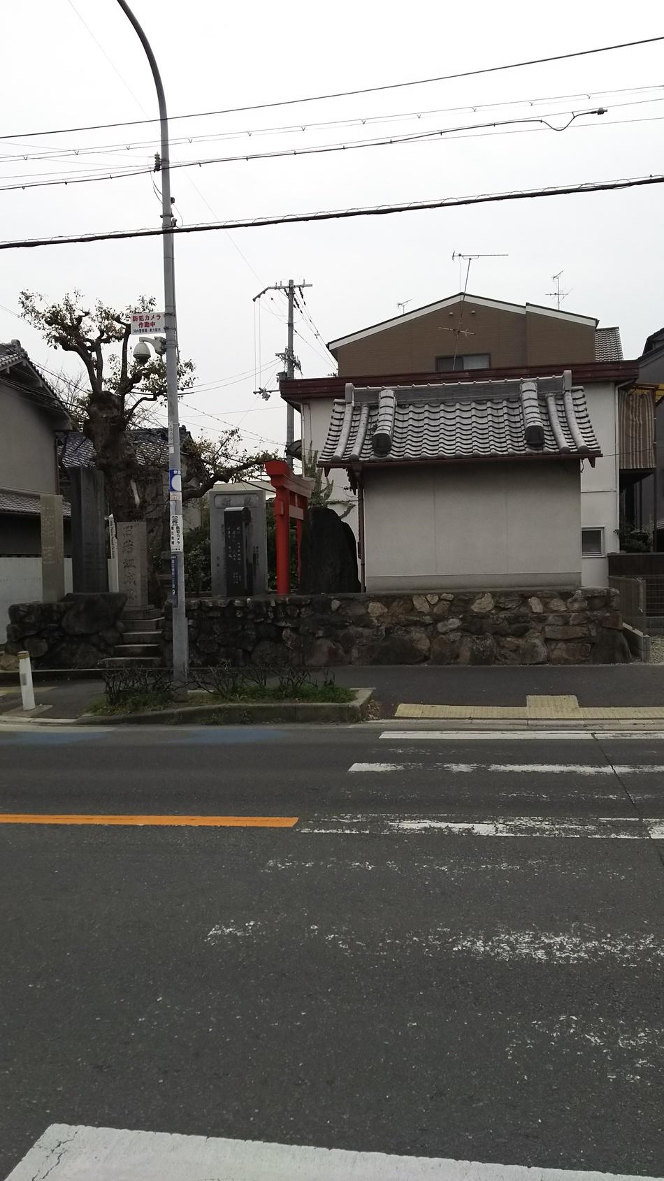 若江城