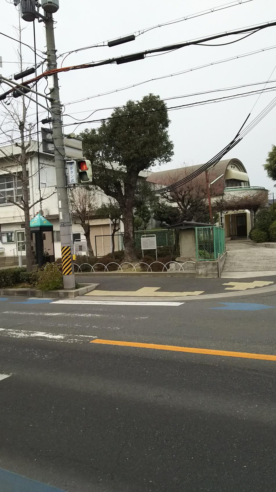若江城
