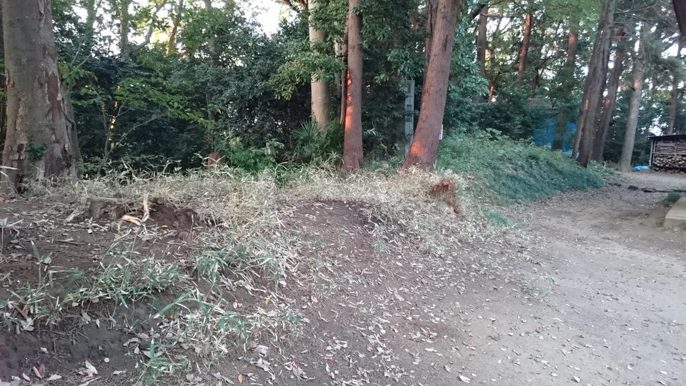 生実城