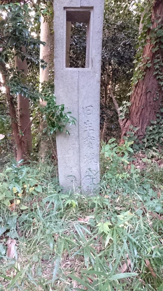 生実城