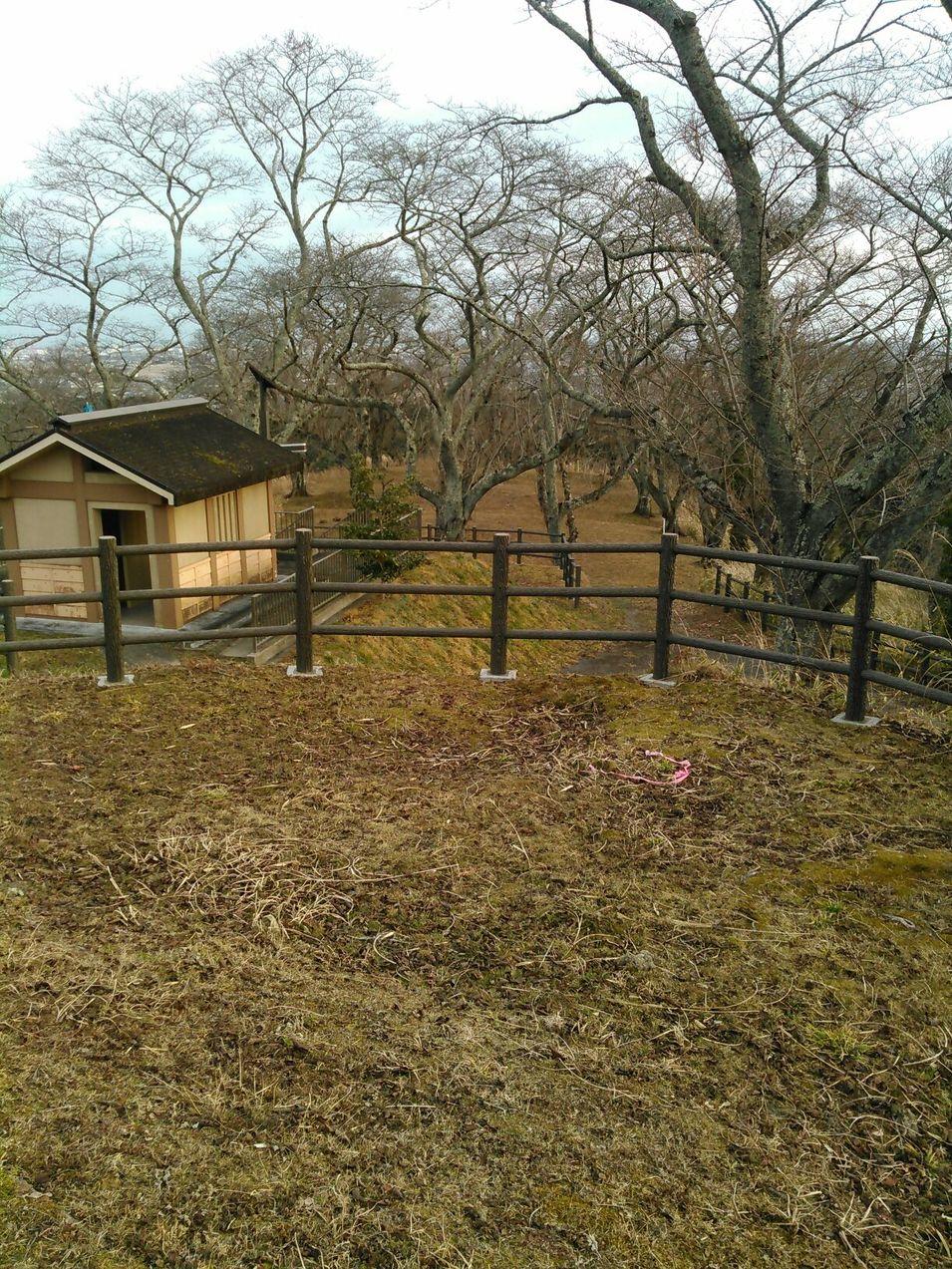 岩切城