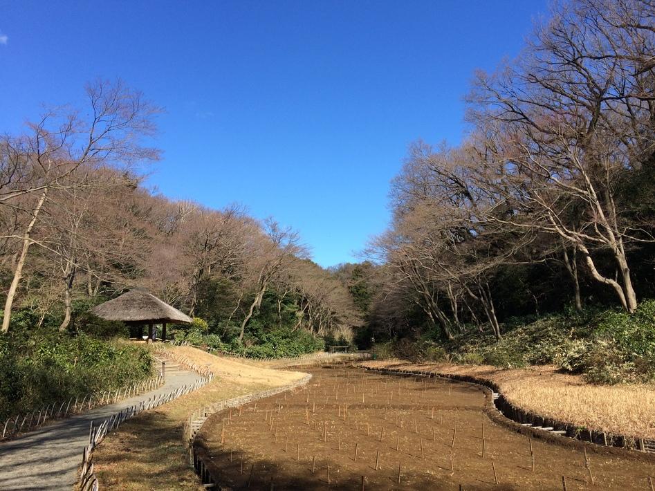 井伊氏屋敷