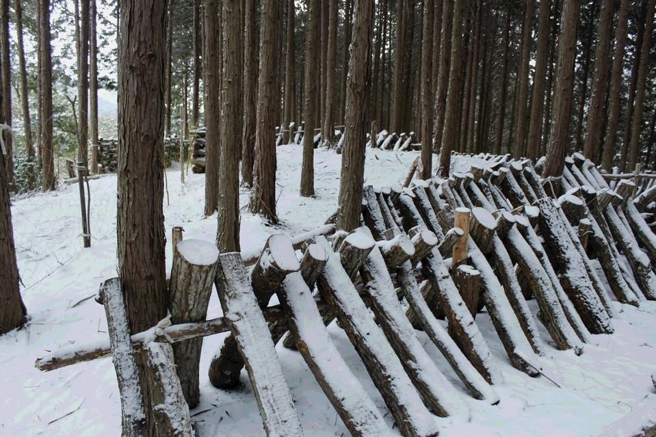 高山城