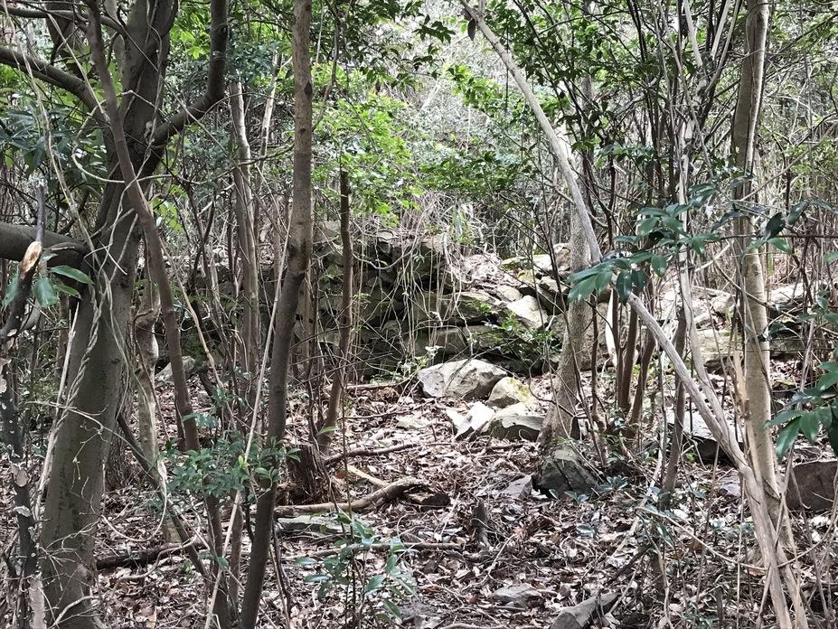 皇踏山城