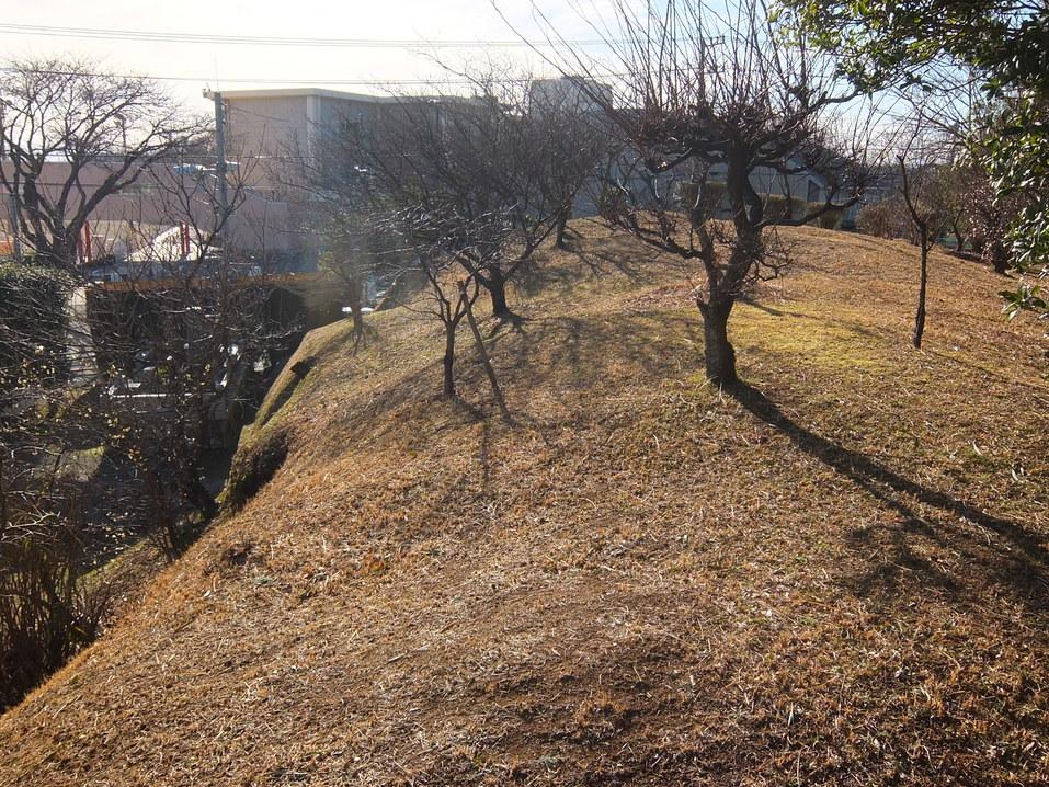 長久保城