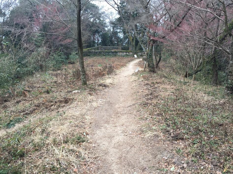 岩屋城
