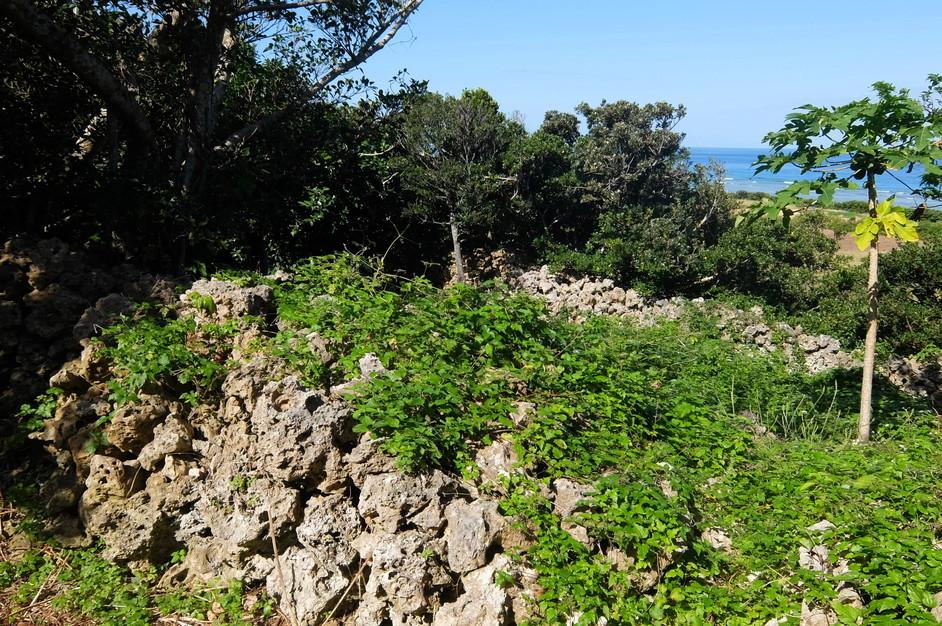 下田原城