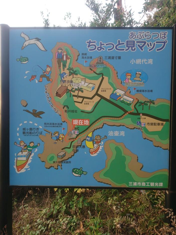 新井城