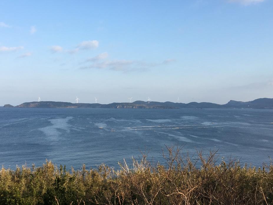 大島城