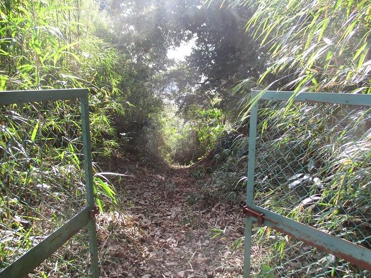 玉縄城