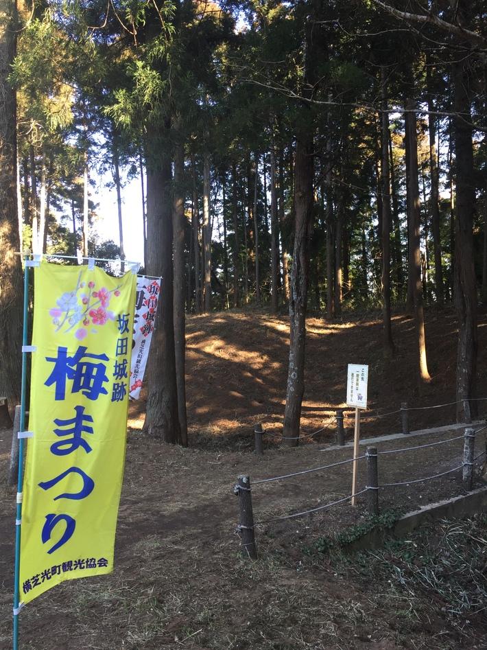 坂田城