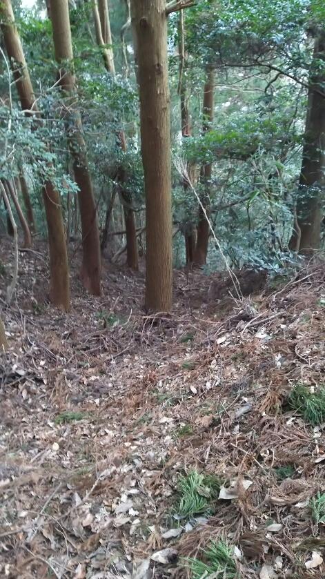 阿坂城
