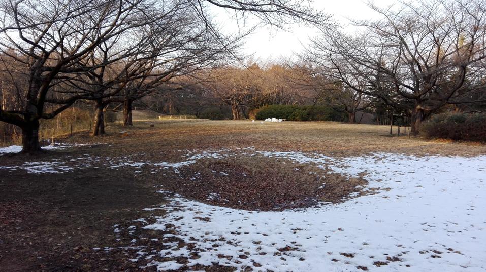 長命館