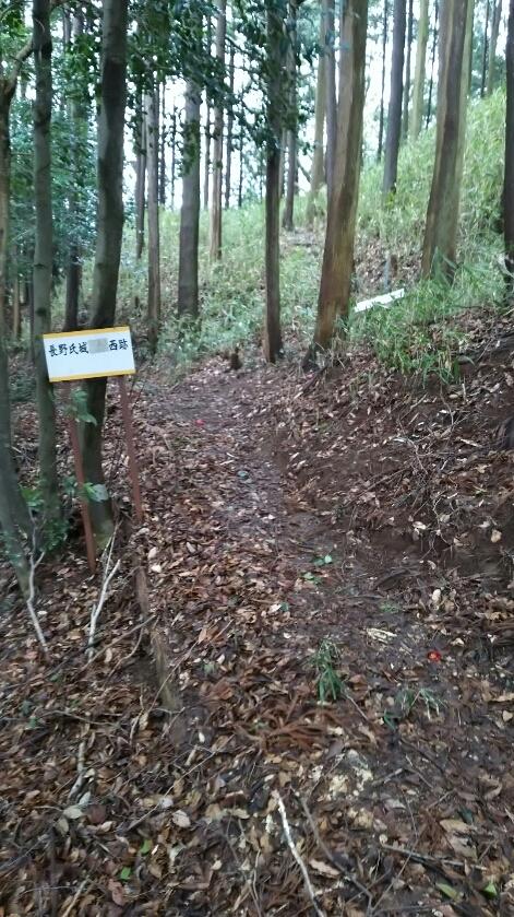 長野氏城館