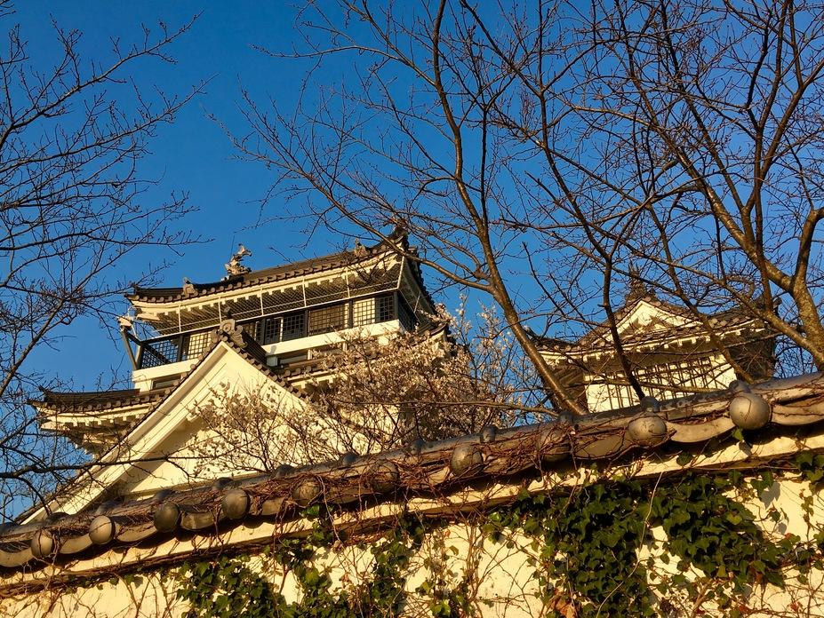 撫養城