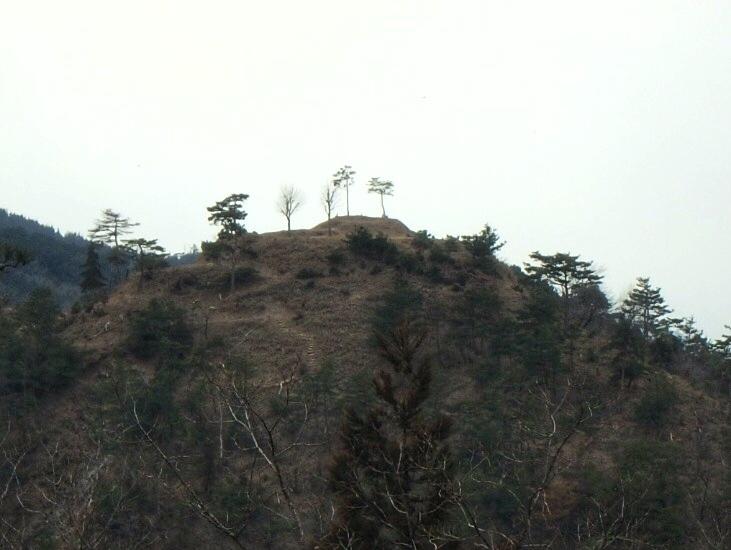 朝倉城