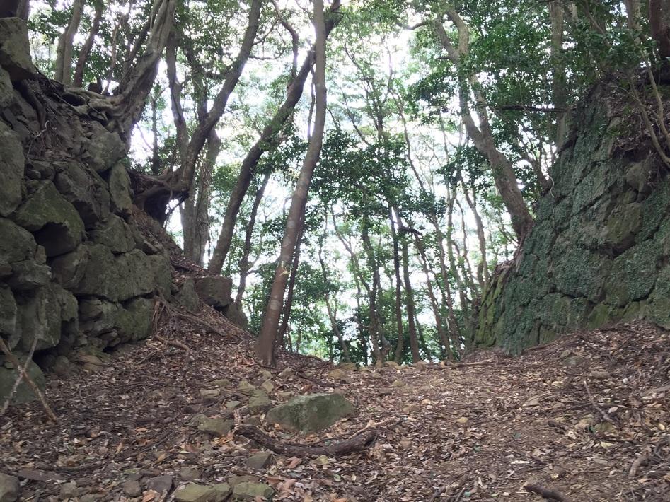 岸岳城