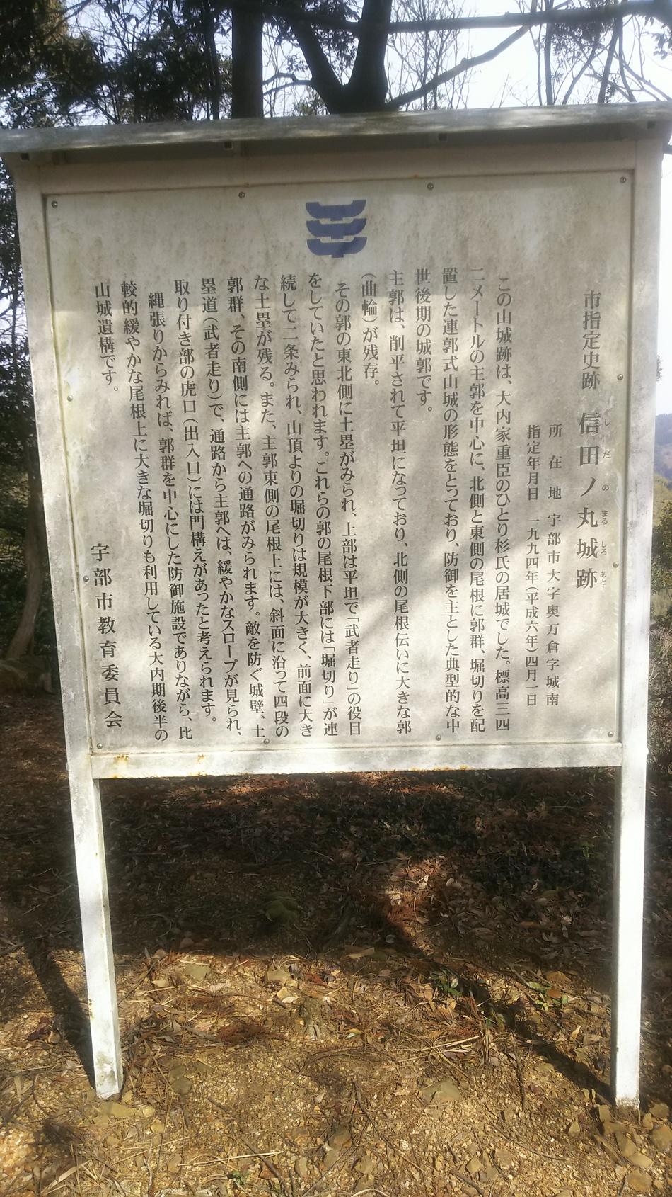 信田ノ丸城