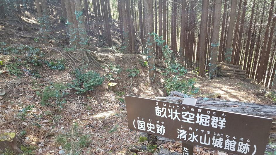 清水山城