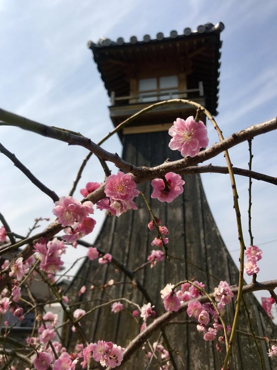 庭瀬城