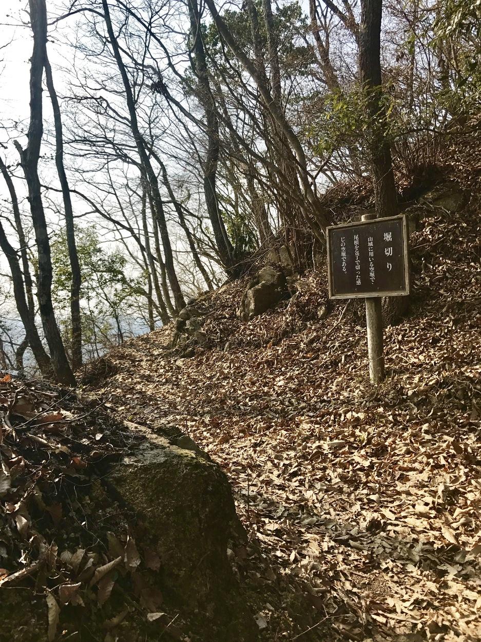 天神山城