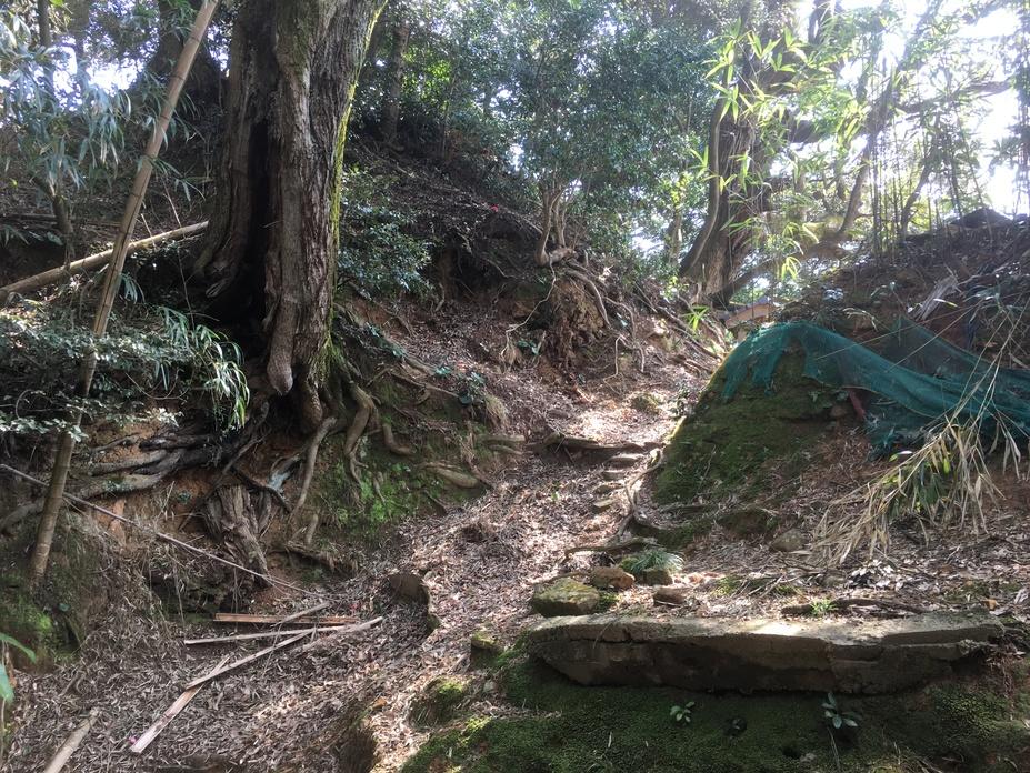 伊根城