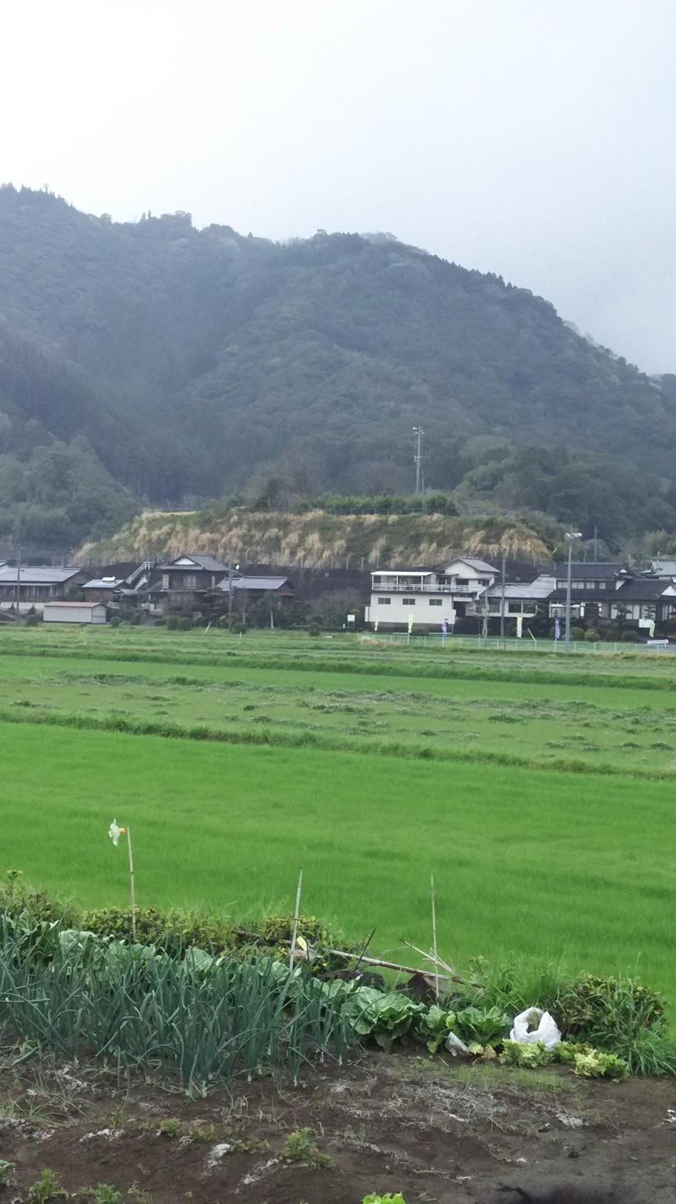 川坂城
