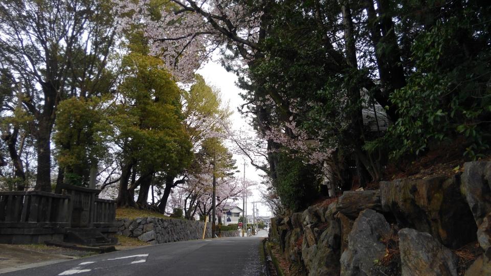 桜井城