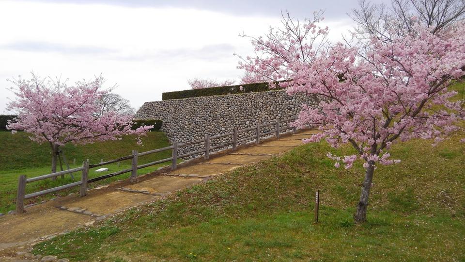 横須賀城
