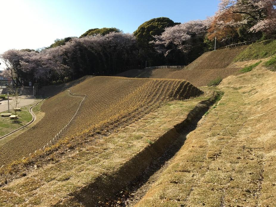 小牧山城