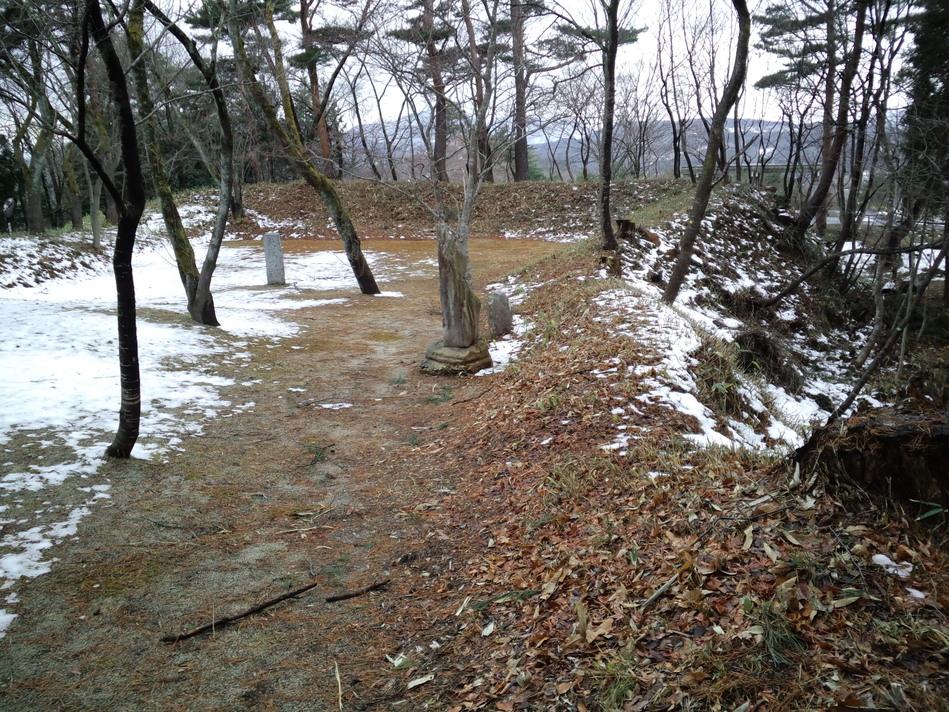 大鳥城