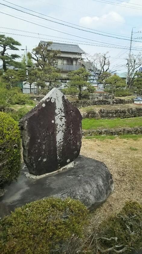 田中城
