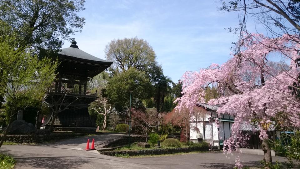 真福寺城