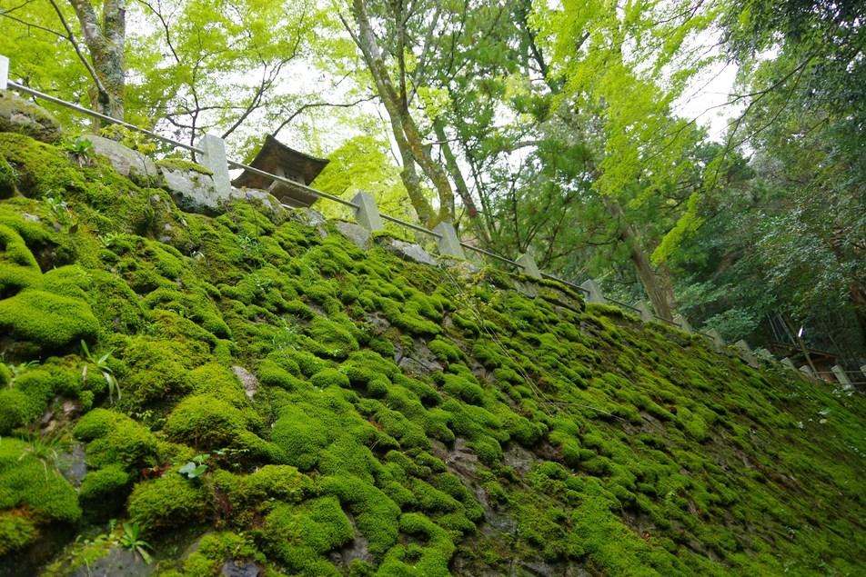 玉造要害山城
