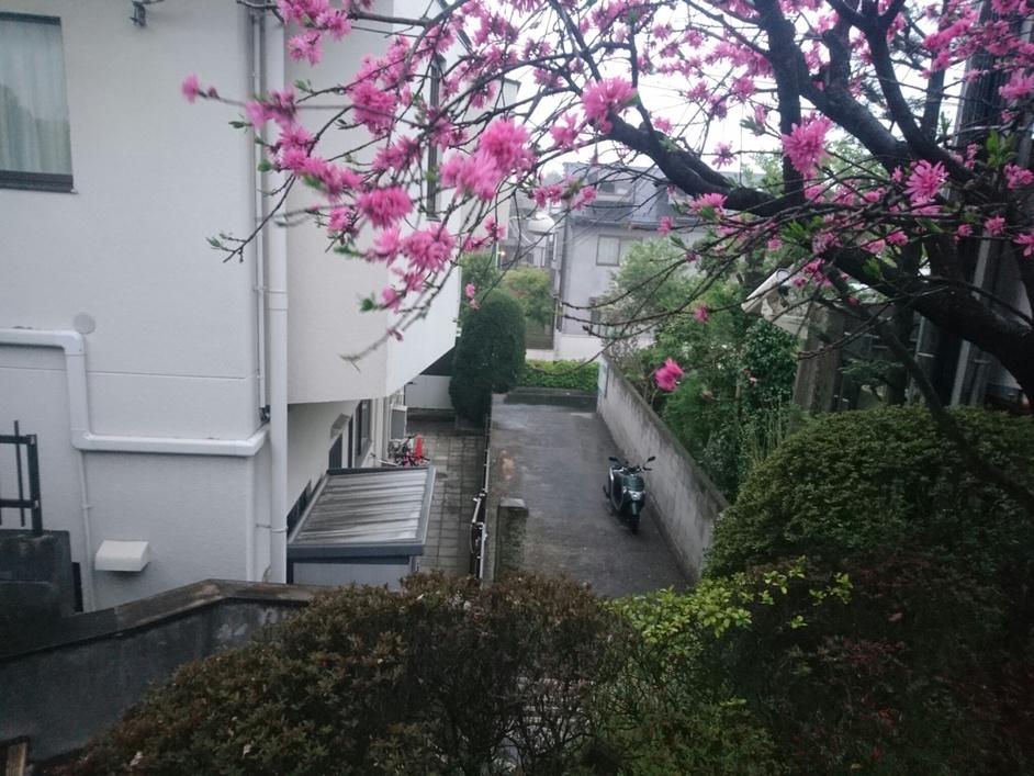 大平砦