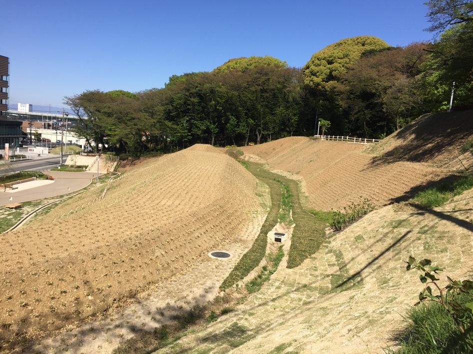 小牧山城