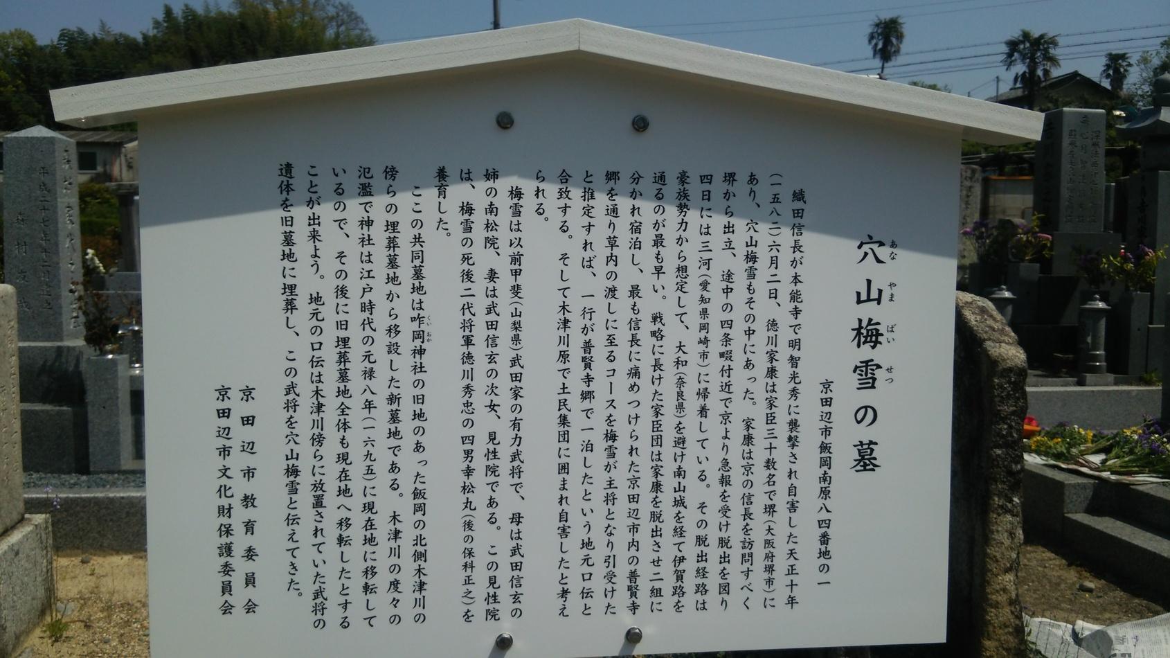 草路城