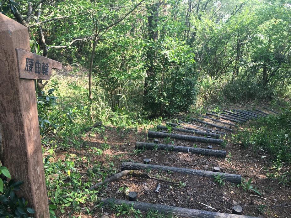 和田山城