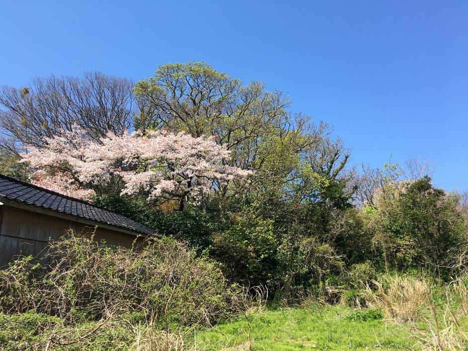鷲崎城
