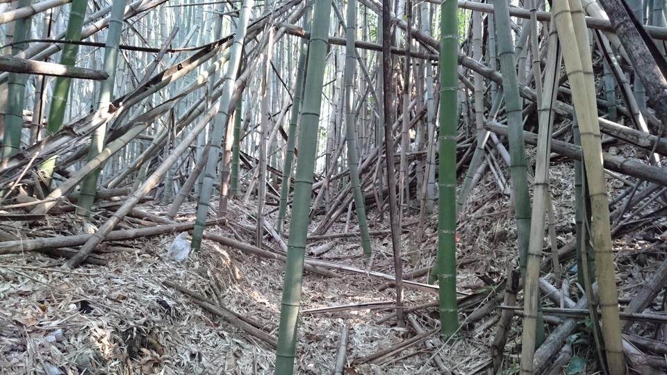 大和田城