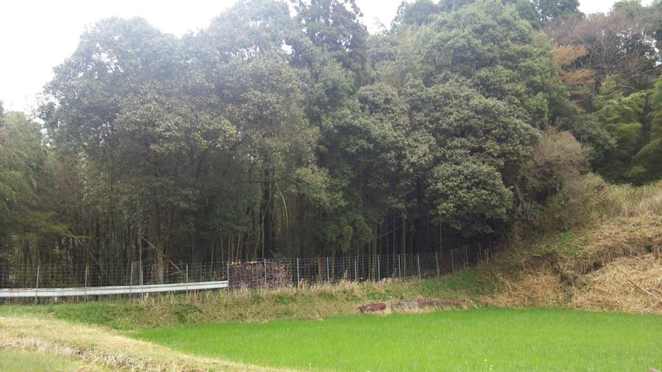大野原城