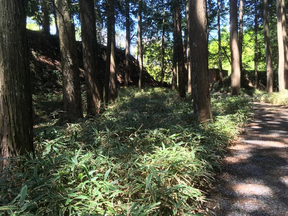 亀山城
