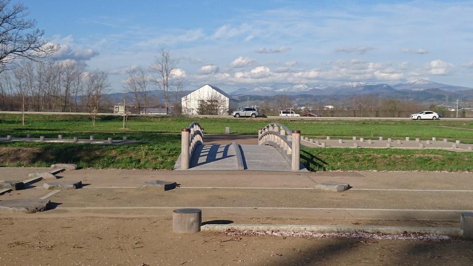 堀越城