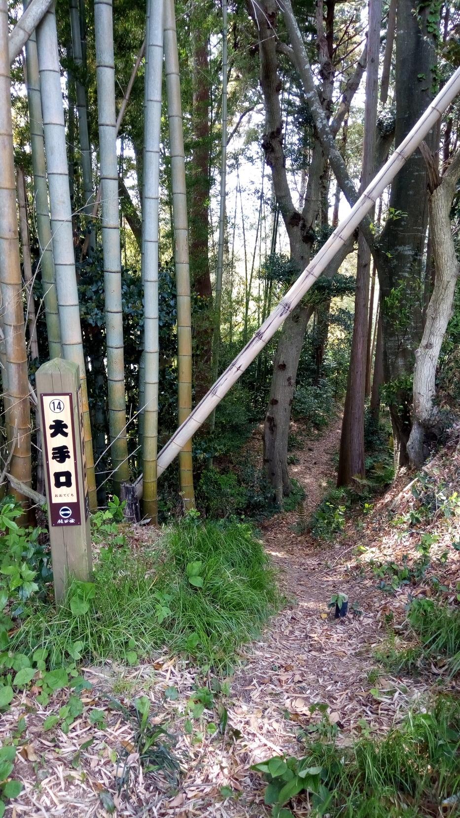 飯田城