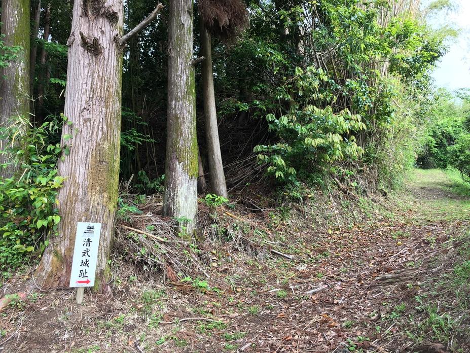 清武城