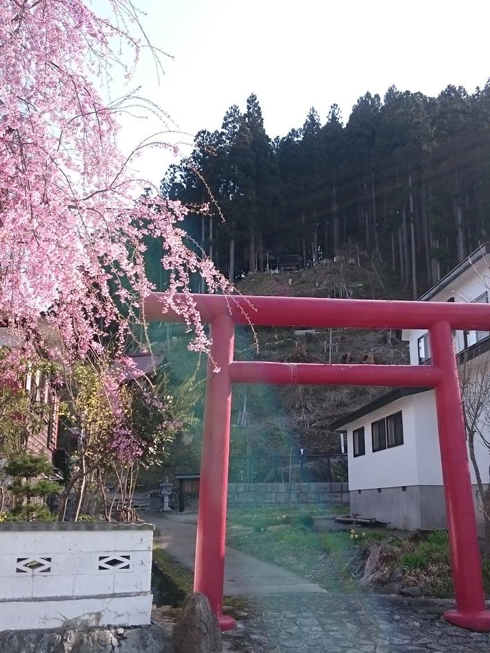 金山城