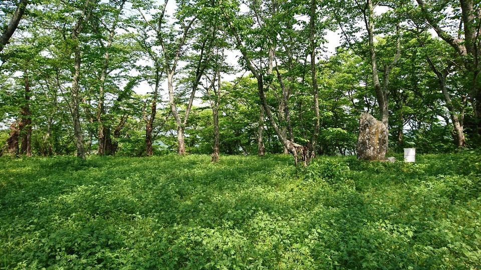 懸田城