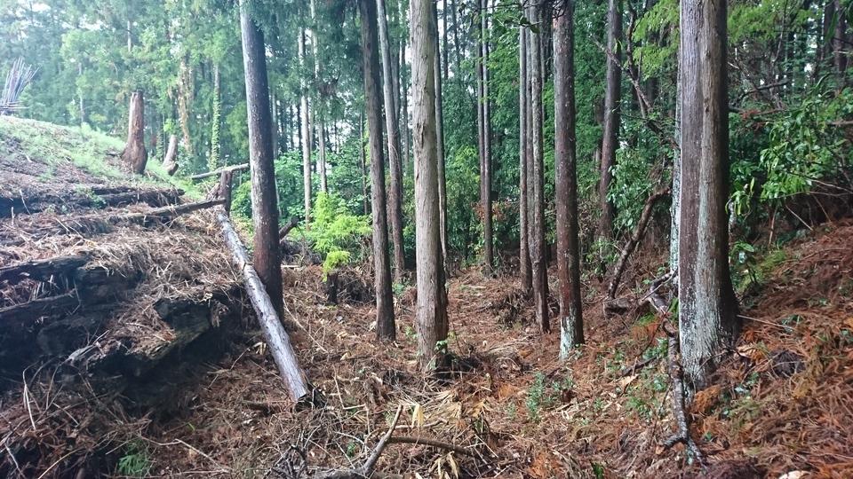 塩野田館