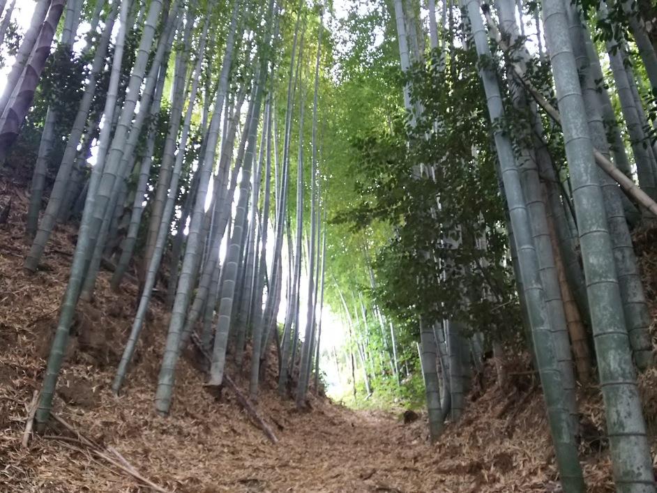 飯田城