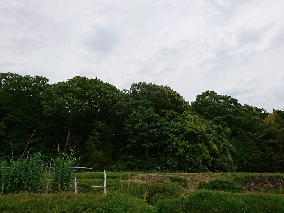 藍岡山城